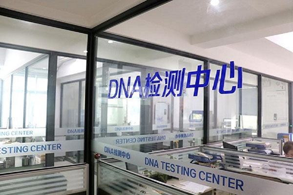 新疆全国统一采血DNA入库（一探全国DNA数据库的建设和运行机制） 